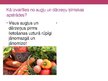 Presentations 'Vielas augļu un dārzeņu uzglabāšanai', 6.