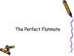 Presentations 'The Perfect Flatmate', 1.
