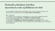 Presentations 'Latvijā piespriesta brīvības atņemšanas soda izpilde ārvalstī ārpus ES', 13.