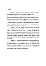 Research Papers 'Korporācijas kā globalizācijas dalībnieki', 16.