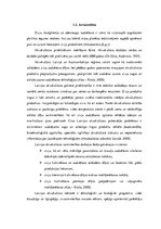 Term Papers 'SIA "X" komercdarbības analīze', 24.