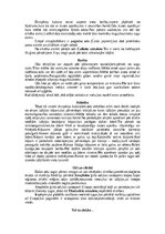 Summaries, Notes 'Divspārņi', 8.