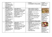 Summaries, Notes 'Tematiskais plāns mācību priekšmetā "Dizains un tehnoloģijas" 2. klase', 3.