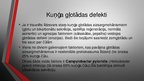 Presentations 'Kuņģis. Histoloģijas kurss', 10.