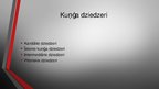 Presentations 'Kuņģis. Histoloģijas kurss', 15.