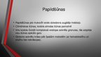 Presentations 'Kuņģis. Histoloģijas kurss', 20.