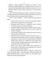 Term Papers 'Uzņēmuma SIA "Pluspak Latvia" finanšu darbības analīze', 12.