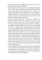 Term Papers 'Uzņēmuma SIA "Pluspak Latvia" finanšu darbības analīze', 68.