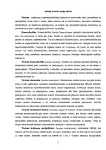 Research Papers 'Ekonomiskās degredācijas ietekme uz Latvijas viesnīcu komercdarbību', 4.