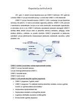 Research Papers 'ANO Izglītības, zinātnes un kultūras organizācija', 6.