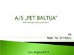 Presentations 'AS "PET Baltija" mārketinga vides pētījums', 1.