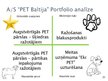 Presentations 'AS "PET Baltija" mārketinga vides pētījums', 21.
