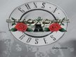 Presentations 'Grupa "Guns N’ Roses"', 1.