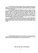 Research Papers 'Izcila personība - Leonardo da Vinči', 19.