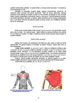 Research Papers 'Rumpja muskuļi', 10.