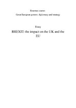 Research Papers 'Brexit: the Impact on the UK and the EU', 1.