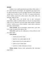 Research Papers 'Java web izstrāde', 7.