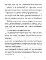 Essays 'Mūzikas nozīme dienas ritmā bērna attīstībā pirmsskolā', 4.