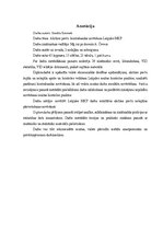 Term Papers 'Akcīzes preču kontrabandas novēršana Latgales MKP', 3.