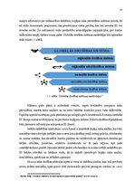 Term Papers 'Akcīzes preču kontrabandas novēršana Latgales MKP', 10.