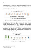 Term Papers 'Akcīzes preču kontrabandas novēršana Latgales MKP', 25.