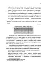 Term Papers 'Akcīzes preču kontrabandas novēršana Latgales MKP', 32.