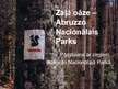 Presentations 'Aktīva pasākuma projekts Abruco Nacionālajā parkā Itālijā', 1.