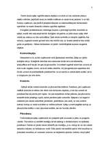 Research Papers 'Biznesa kultūra Spānijā', 8.
