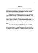 Research Papers 'Biznesa kultūra Spānijā', 11.