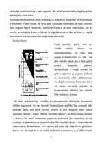Research Papers 'Sievietes un vīrieša seksuālā uzvedība', 7.