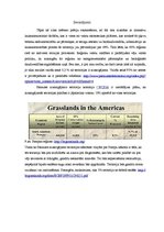 Research Papers 'Stepes Dienvidamerikā jeb pampas', 13.