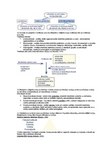 Summaries, Notes 'Uzņēmējdarbības vadīšana. Jautājumi atkārtošanai', 10.