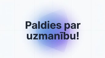 Presentations 'E-komercijas ietekme uz tradicionālo mazumtirdzniecību Latvijā', 16.