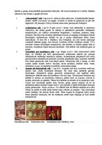 Research Papers 'Romas arhitektūra', 7.