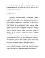 Term Papers 'A/s "Cido" darbības analīze, perspektīvas, tendences un dinamika', 13.