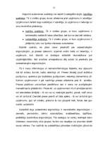 Term Papers 'A/s "Cido" darbības analīze, perspektīvas, tendences un dinamika', 15.