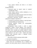 Term Papers 'A/s "Cido" darbības analīze, perspektīvas, tendences un dinamika', 36.