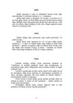 Research Papers 'Latviešu tradicionālie mūzikas instrumenti', 11.