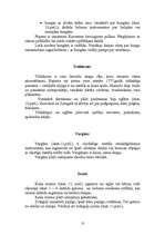 Research Papers 'Latviešu tradicionālie mūzikas instrumenti', 13.