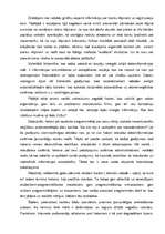 Research Papers 'Datorpirātisms', 3.