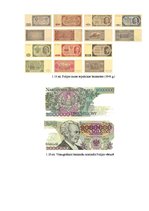 Research Papers 'Polijas valūta', 14.