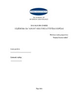 Term Papers 'Uzņēmuma SIA "Aironi" nākotnes attīstības iespējas', 1.