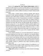 Term Papers 'Uzņēmuma SIA "Aironi" nākotnes attīstības iespējas', 2.