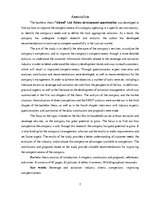 Term Papers 'Uzņēmuma SIA "Aironi" nākotnes attīstības iespējas', 3.