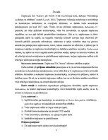 Term Papers 'Uzņēmuma SIA "Aironi" nākotnes attīstības iespējas', 5.