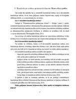 Term Papers 'Uzņēmuma SIA "Aironi" nākotnes attīstības iespējas', 7.