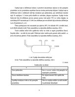 Term Papers 'Uzņēmuma SIA "Aironi" nākotnes attīstības iespējas', 9.