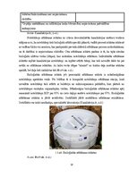 Term Papers 'Uzņēmuma SIA "Aironi" nākotnes attīstības iespējas', 10.