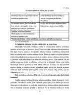 Term Papers 'Uzņēmuma SIA "Aironi" nākotnes attīstības iespējas', 11.