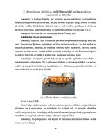 Term Papers 'Uzņēmuma SIA "Aironi" nākotnes attīstības iespējas', 14.